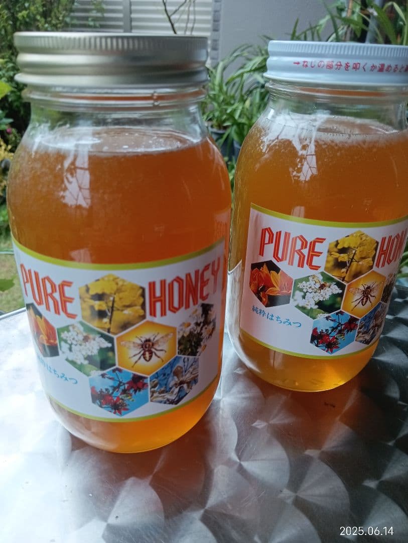 ヒヨコです　ニホンミツバチの百花蜜　国産天然ハチミツ　1180グラム　2本