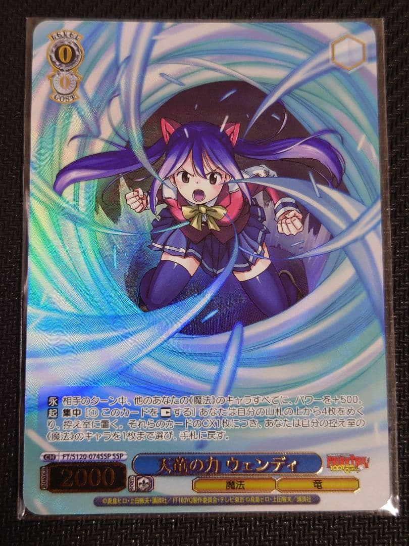 天竜の力 ウェンデ　S120-074SSP　箔押し　ヴァイスシュヴァルツ