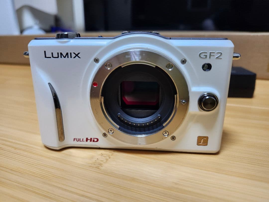 【✨人気カラー✨】Panasonic LUMIX DMC-GF2 デジタルカメラ