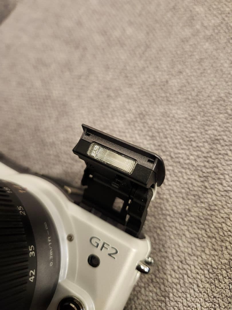 【✨人気カラー✨】Panasonic LUMIX DMC-GF2 デジタルカメラ