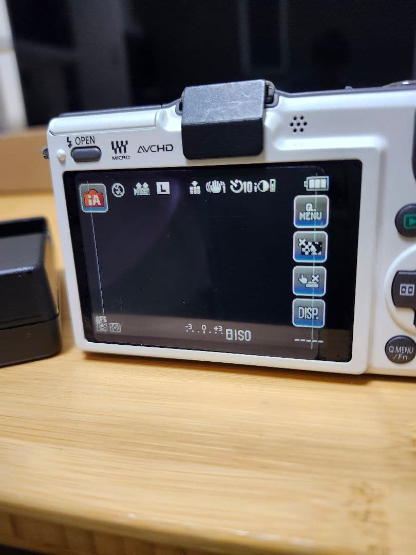 【✨人気カラー✨】Panasonic LUMIX DMC-GF2 デジタルカメラ