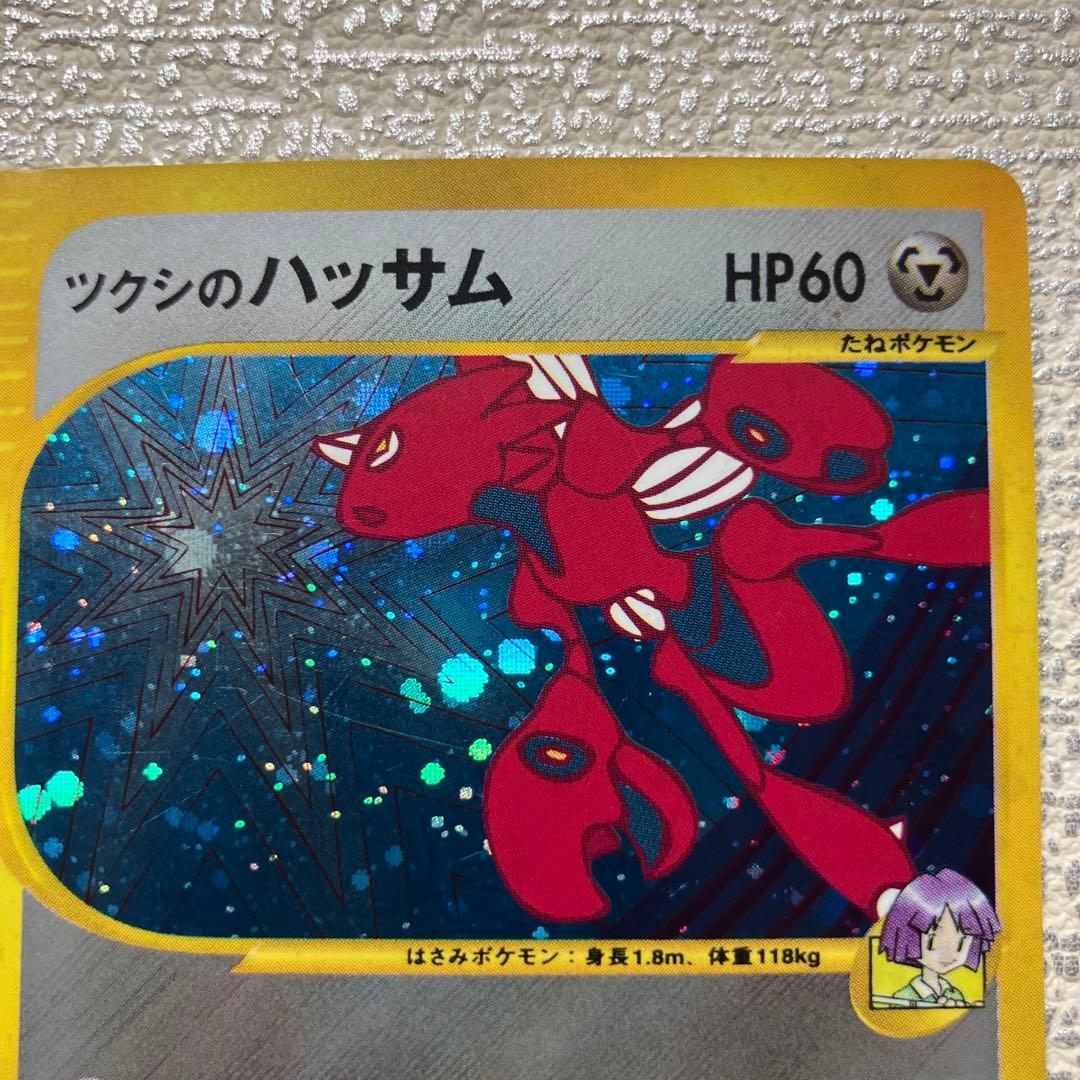 ツクシのハッサム