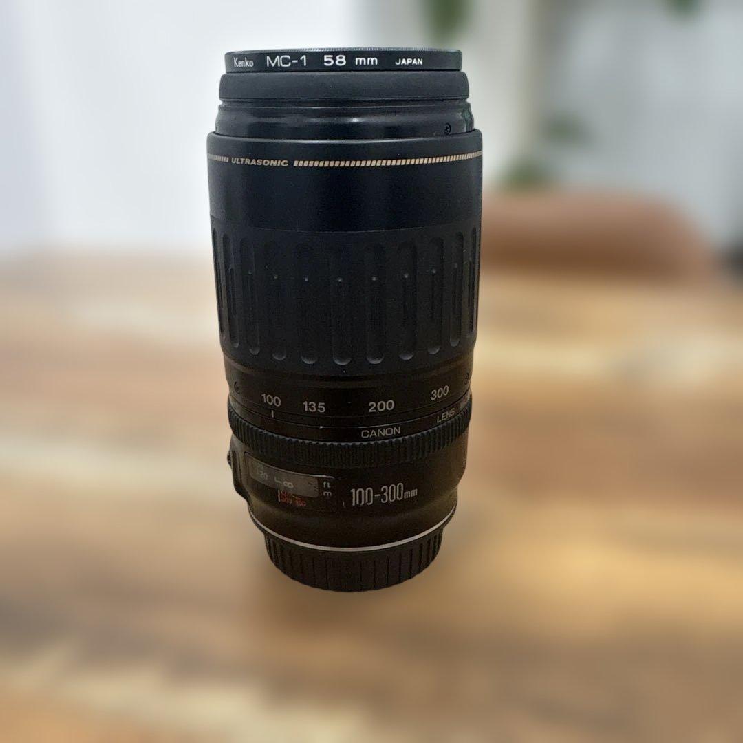 ⭐️美品⭐️キャノン Canon EF 100-300mm 4.5-5.6 USM