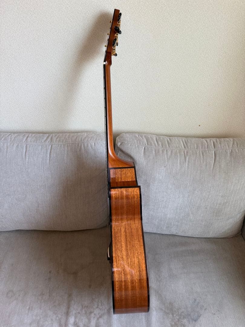 (ほぼ新品) 平光ギター 2024