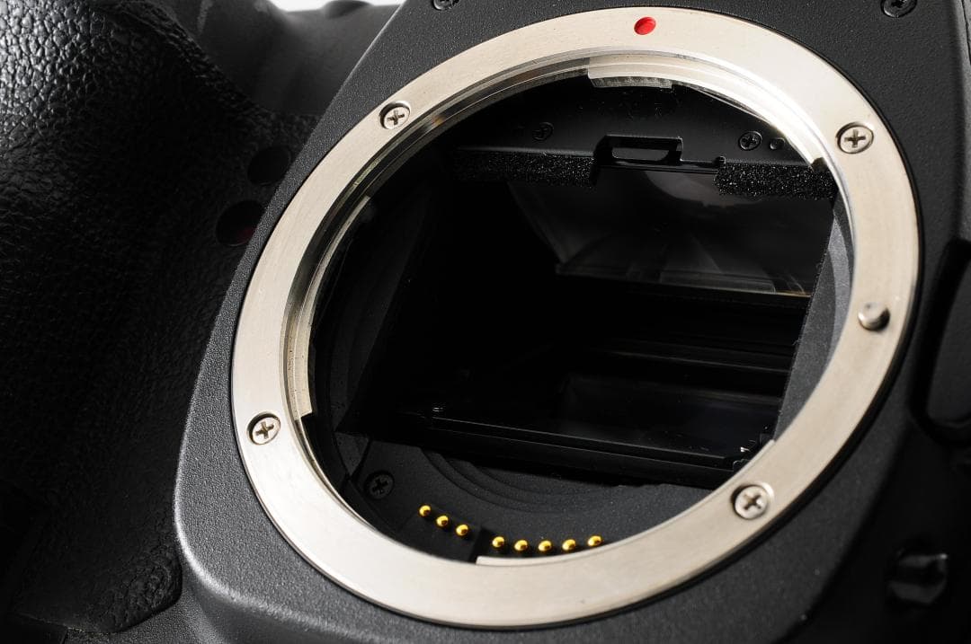 キャノン CANON EOS 5D Mark II デジタル一眼レフカメラ