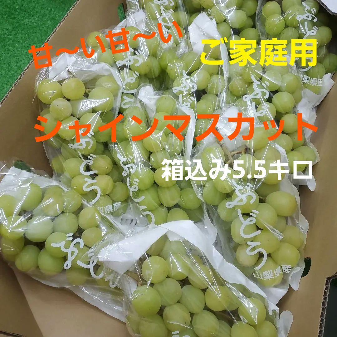 2️⃣ 山梨県産 シャインマスカット １１房入り 箱込み5.5キロ