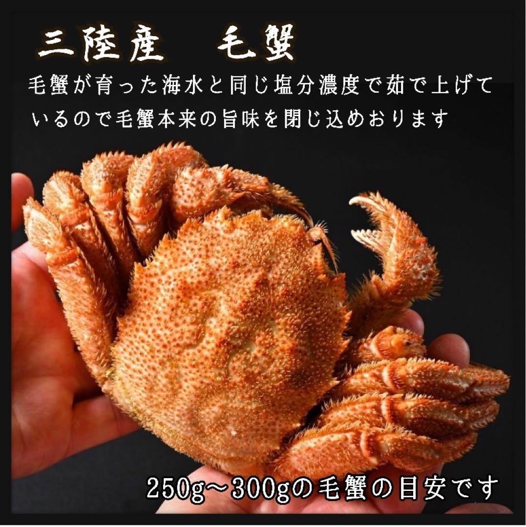 【産地直送】毛 蟹 けがに　3尾 800g〜900g前後 冷凍クール便