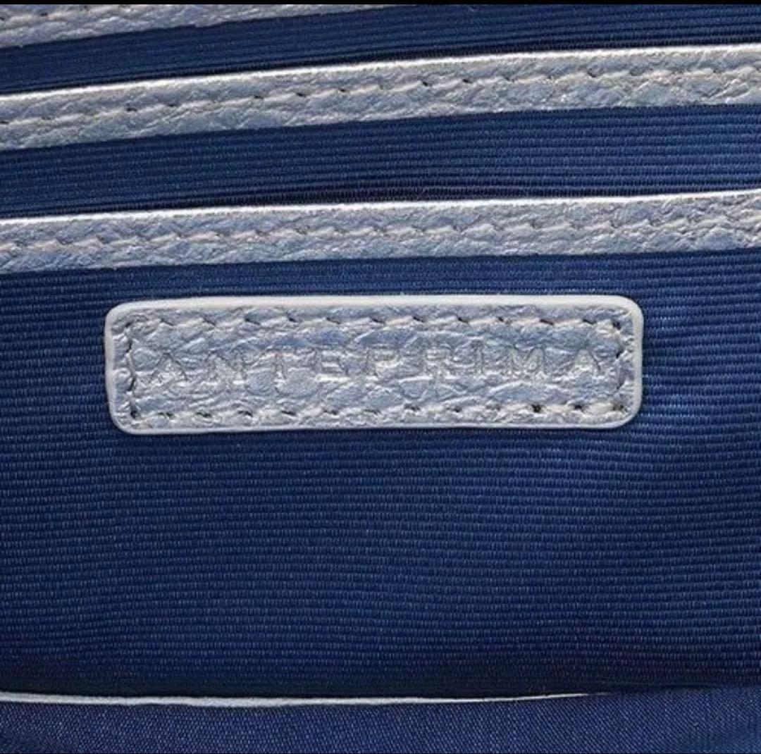 ANAとアンテプリマコラボ フラグメントケース 新品