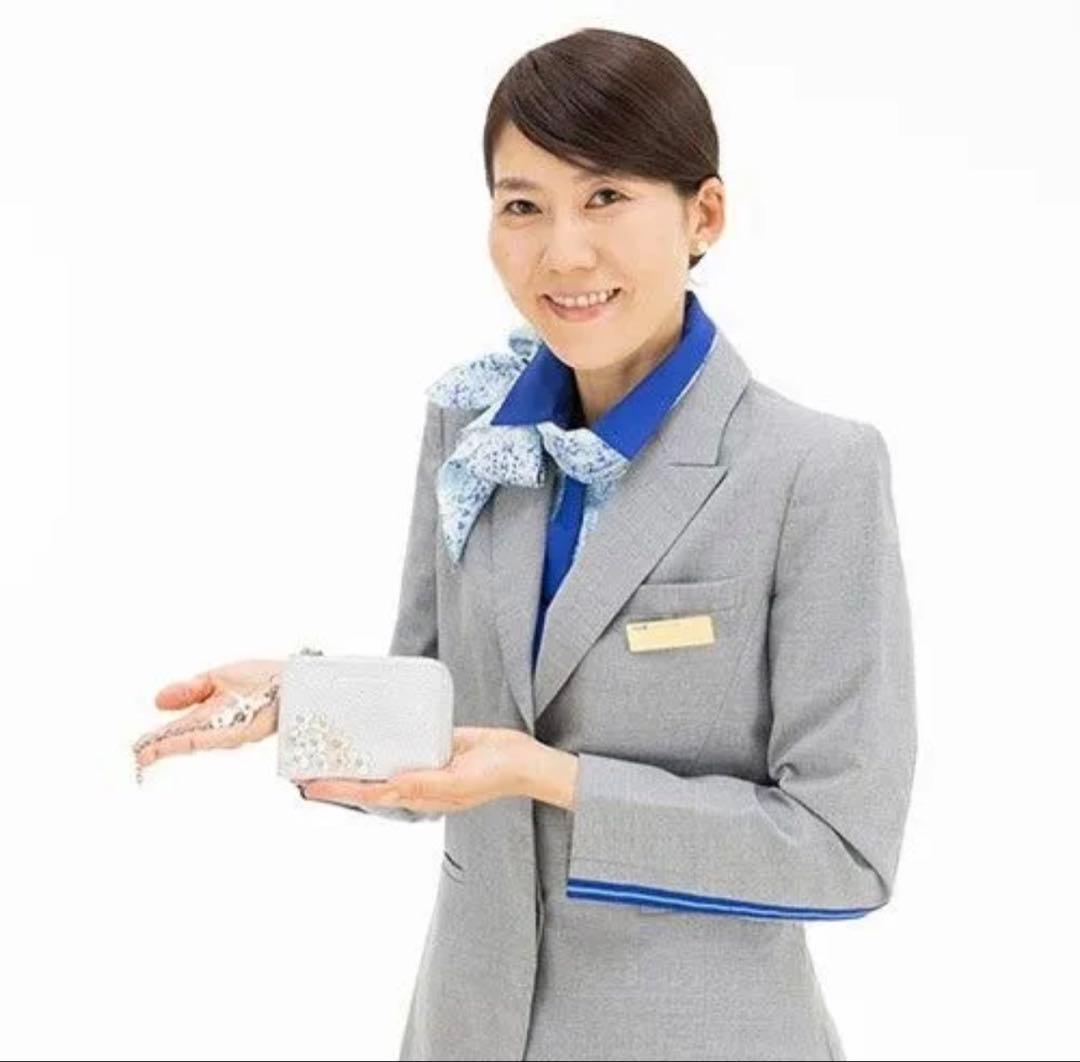 ANAとアンテプリマコラボ フラグメントケース 新品