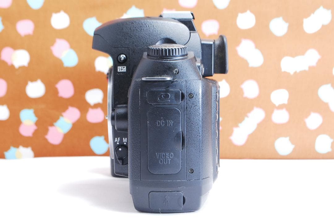 ✨ショット数1205回✨初心者オススメ✨Nikon D70s レンズセット