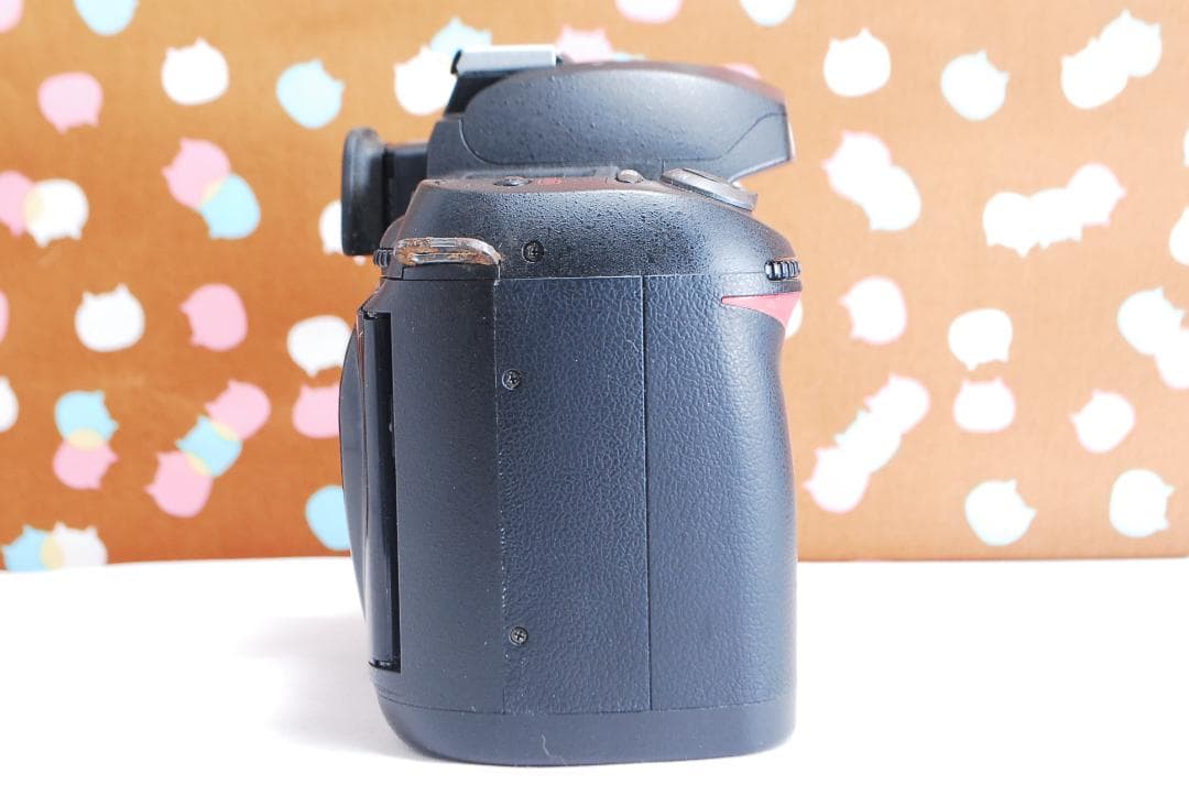 ✨ショット数1205回✨初心者オススメ✨Nikon D70s レンズセット