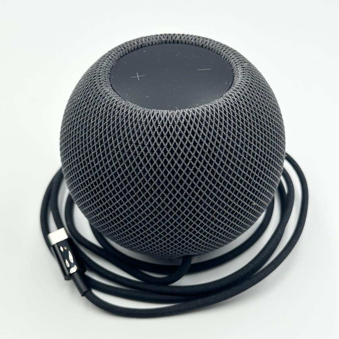 Apple Pod mini スペースグレイ MY5G2J/A