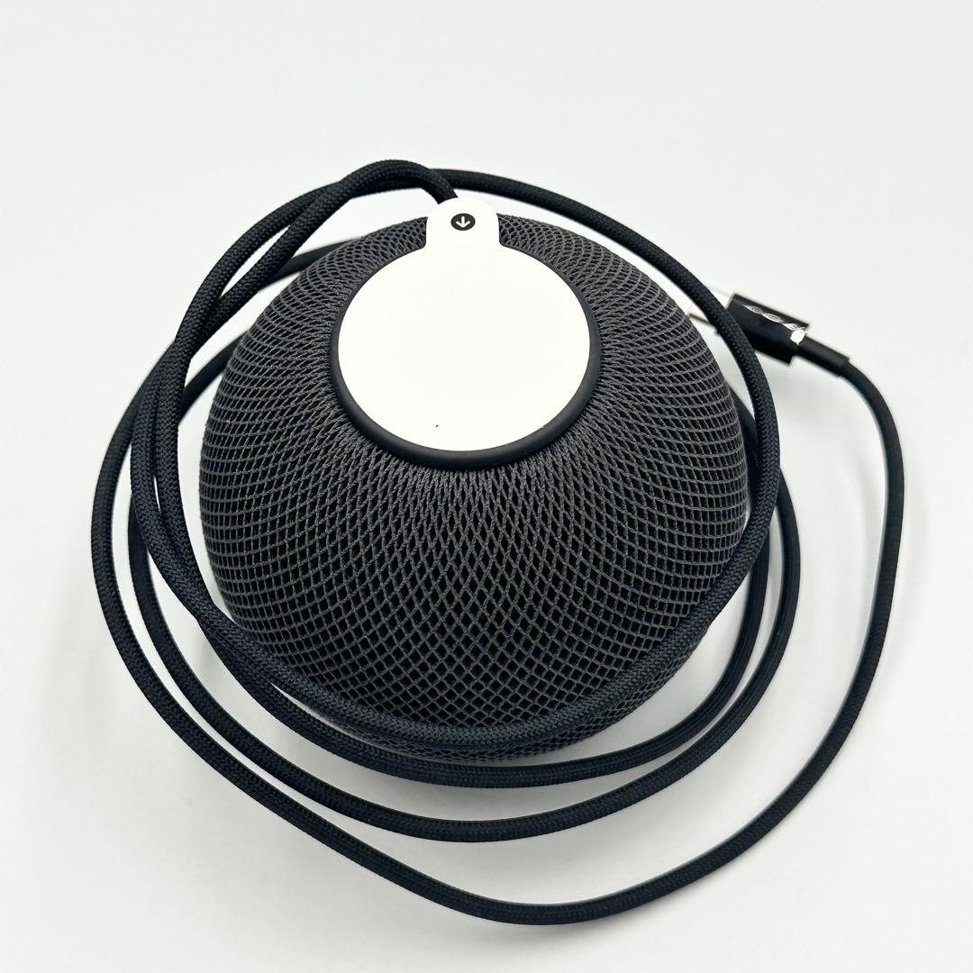 Apple Pod mini スペースグレイ MY5G2J/A