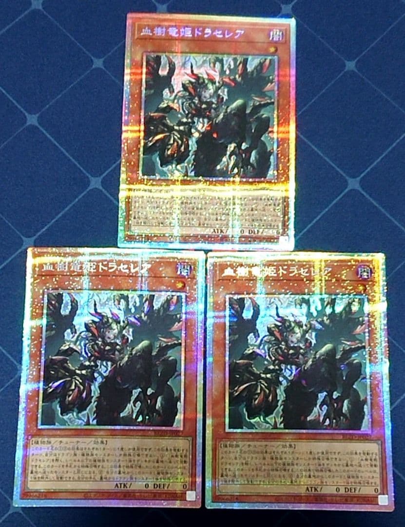 遊戯王 血樹竜姫ドラセレア プリズマ プリシク 3枚セット 日版