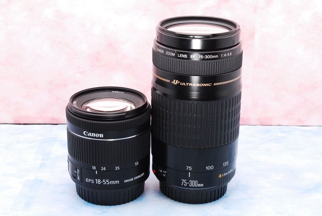 Canon kiss X9✨Wi-Fi✨一眼レフカメラ✨高性能標準＆超望遠