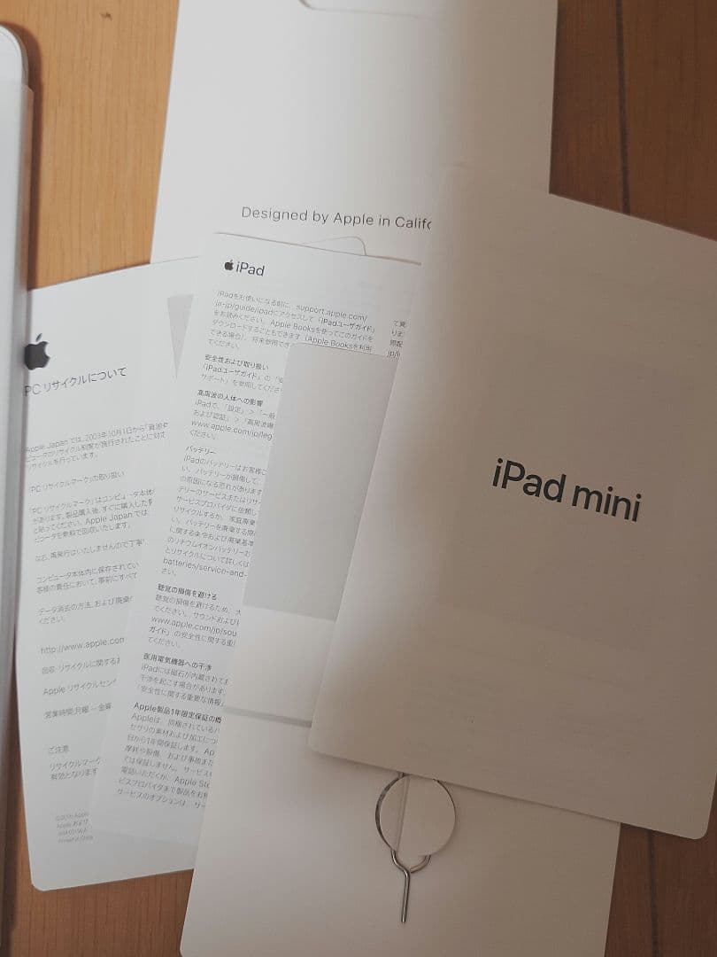 iPad mini 第5世代 64GB SIMフリー A2124 電池93％