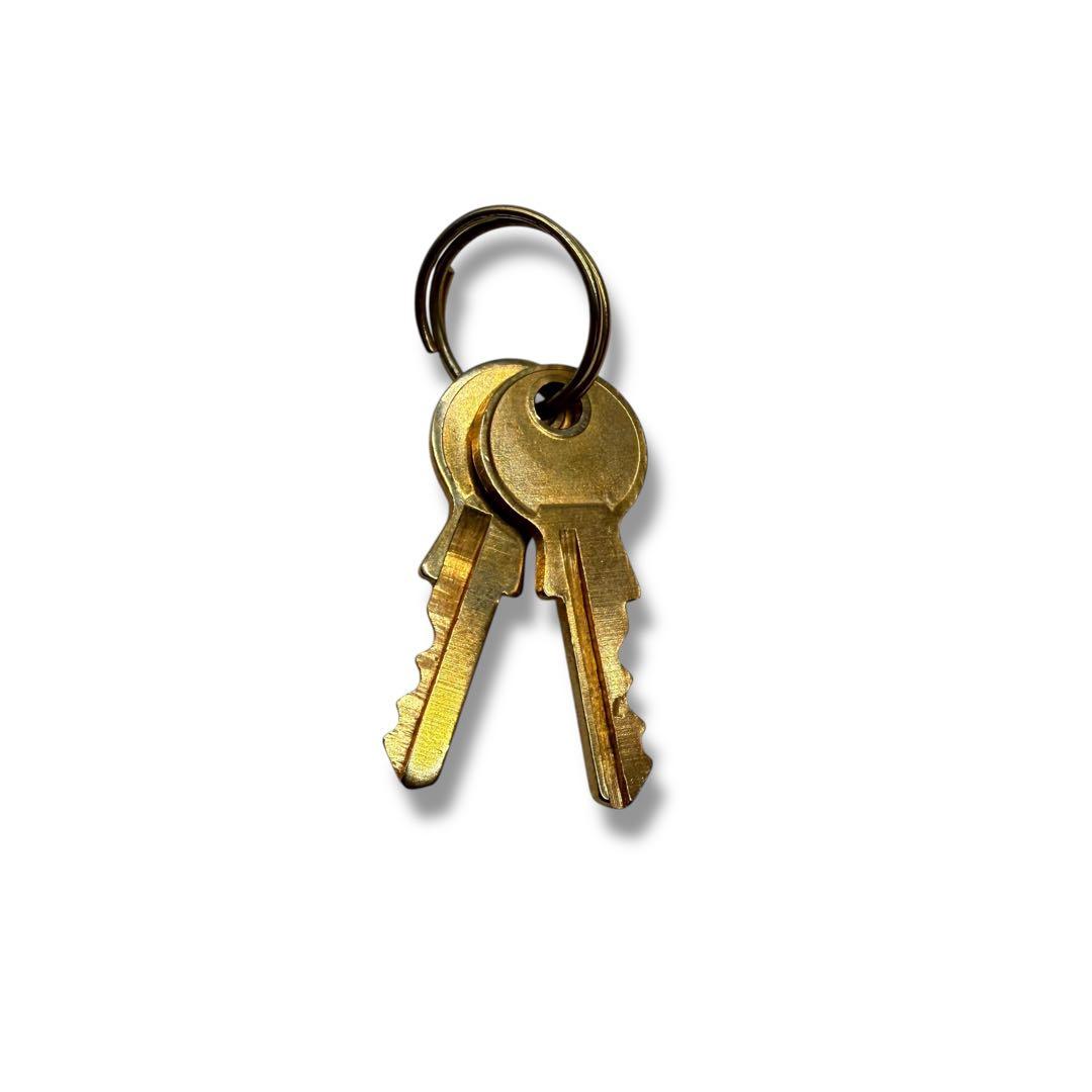 服好き個人事業主  プリマクラッセ ボストンバッグ PVC 世界地図柄