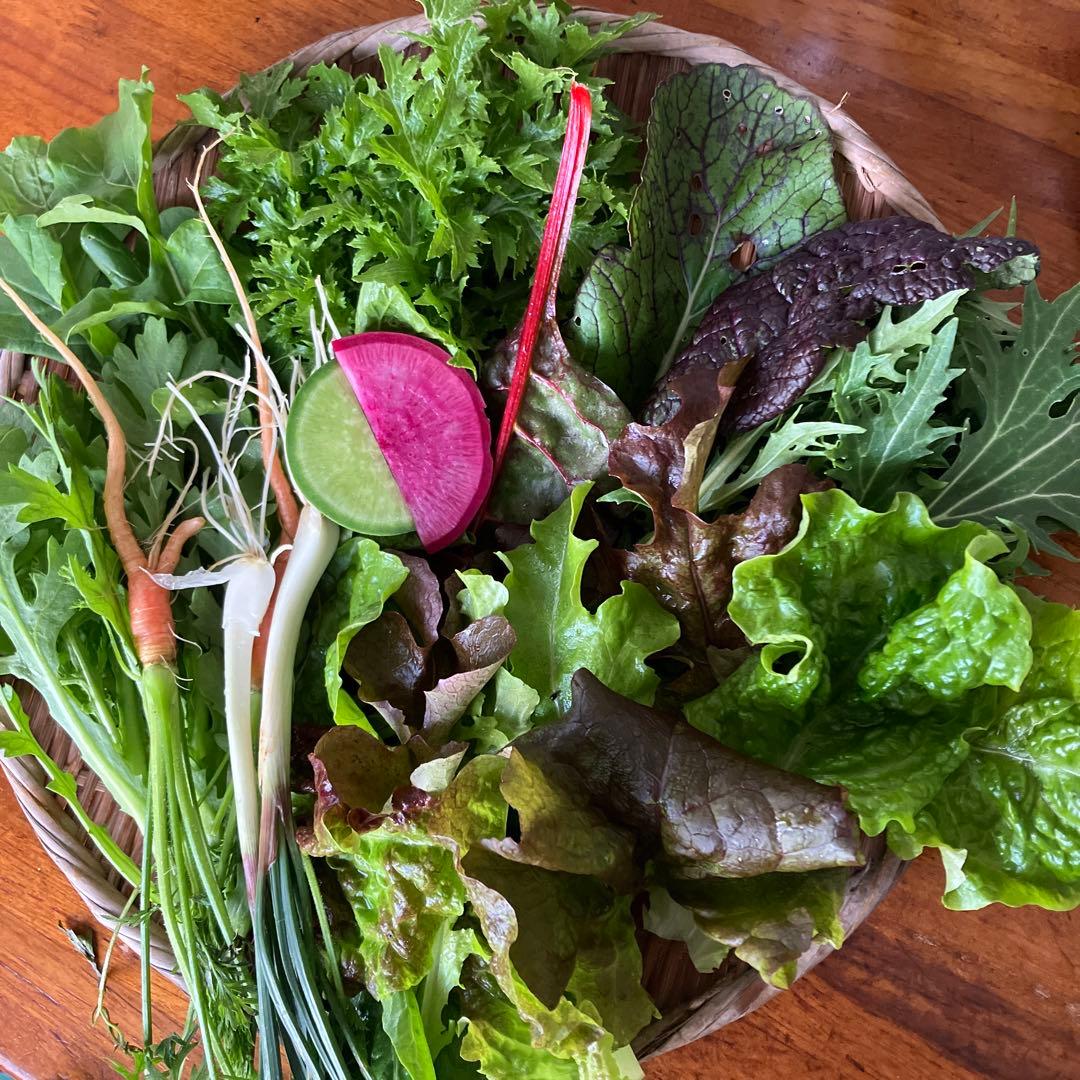 豊かな香り彩りの　restaurant salad