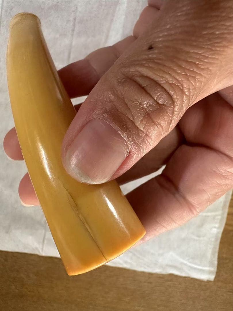 鯨歯 マッコウ鯨 牙 パイプ キセル 特大 56グラム