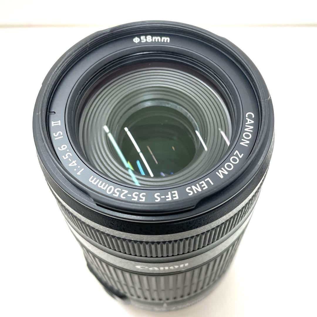 Canon EF-S 55-250mm F4-5.6 IS II 望遠レンズ