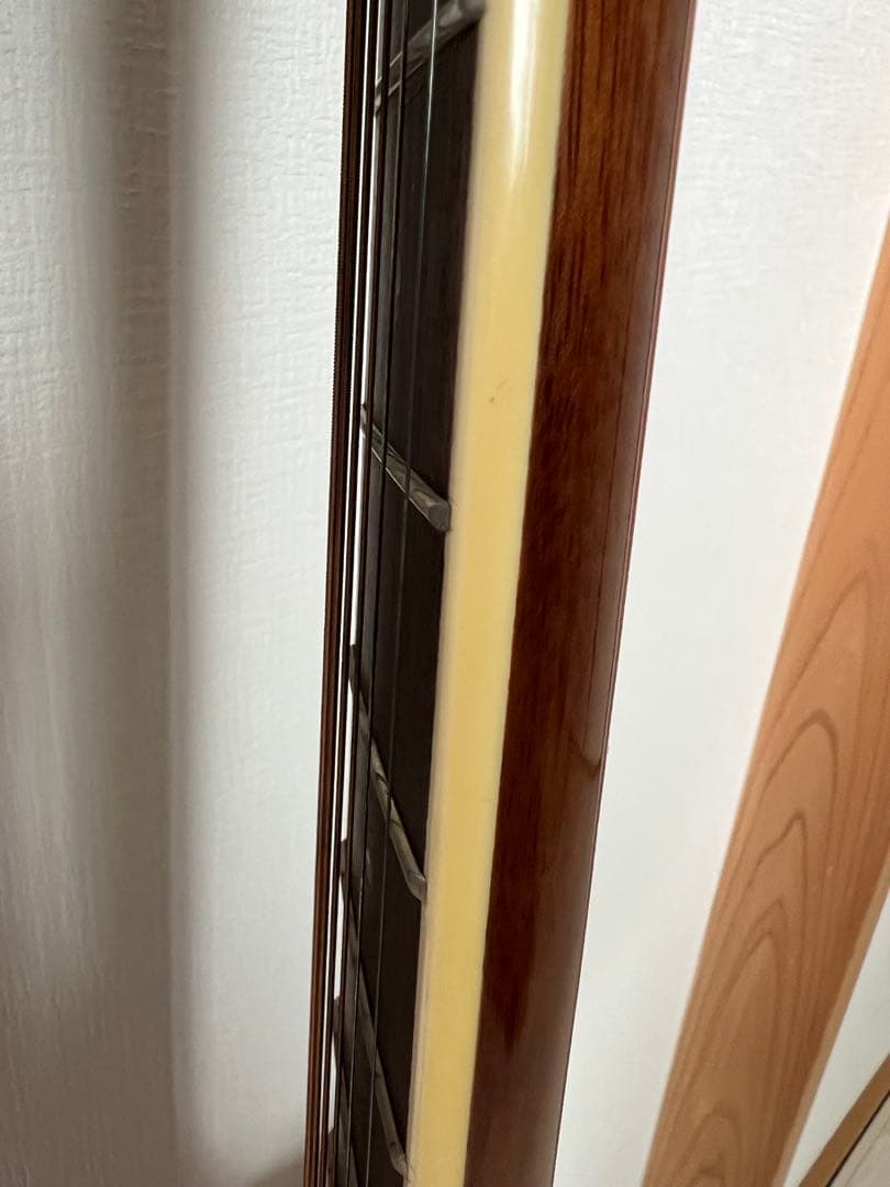 Legend アコースティックギター WG-20CS ケース付き