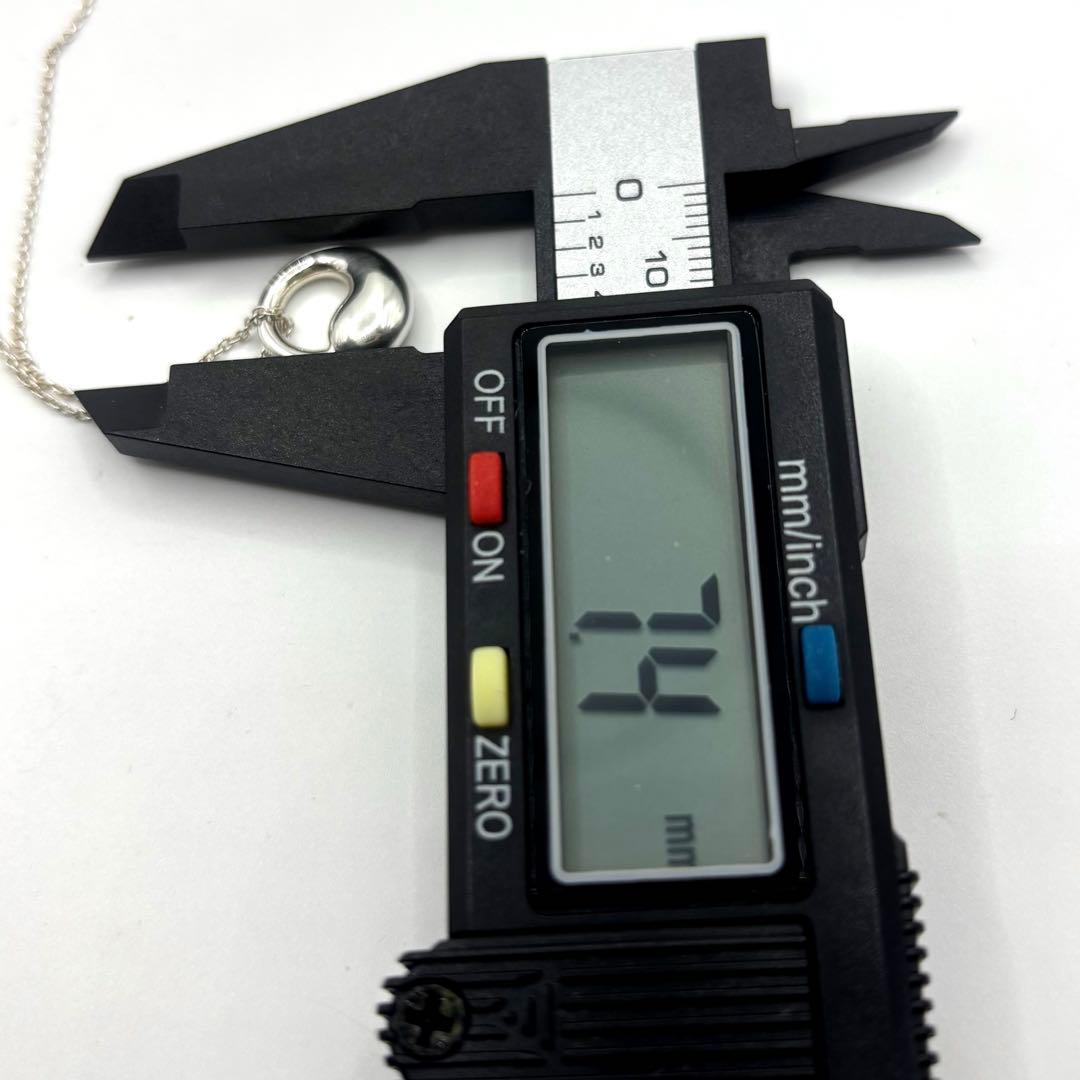 TIFFANY.Co.【極美品】エターナルサークルネックレス　925 付属品付