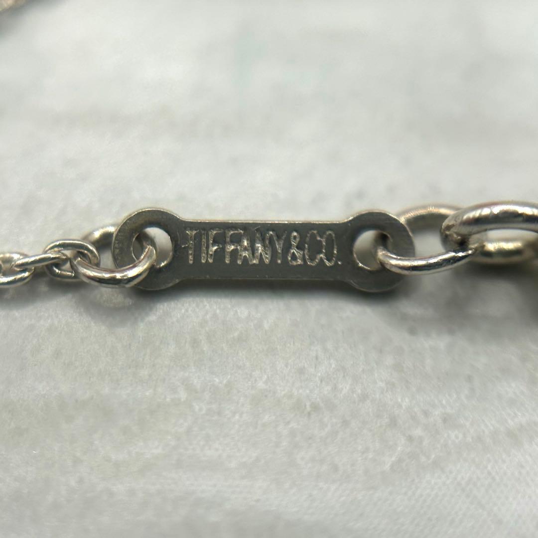 TIFFANY.Co.【極美品】エターナルサークルネックレス　925 付属品付