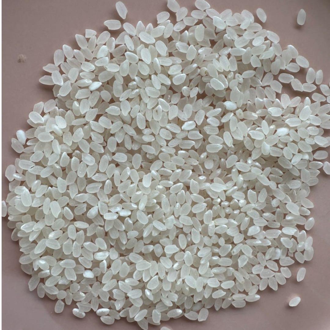 【農家直送】令和7年　宮城県栗原市産 ひとめぼれ 玄米20kg 環境保全米