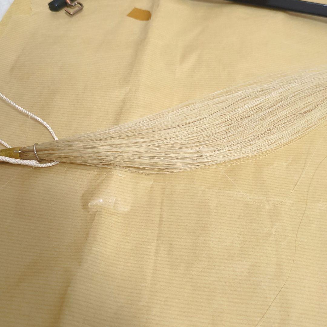 和胡弓　本体　弓　ハードケース　付属品付