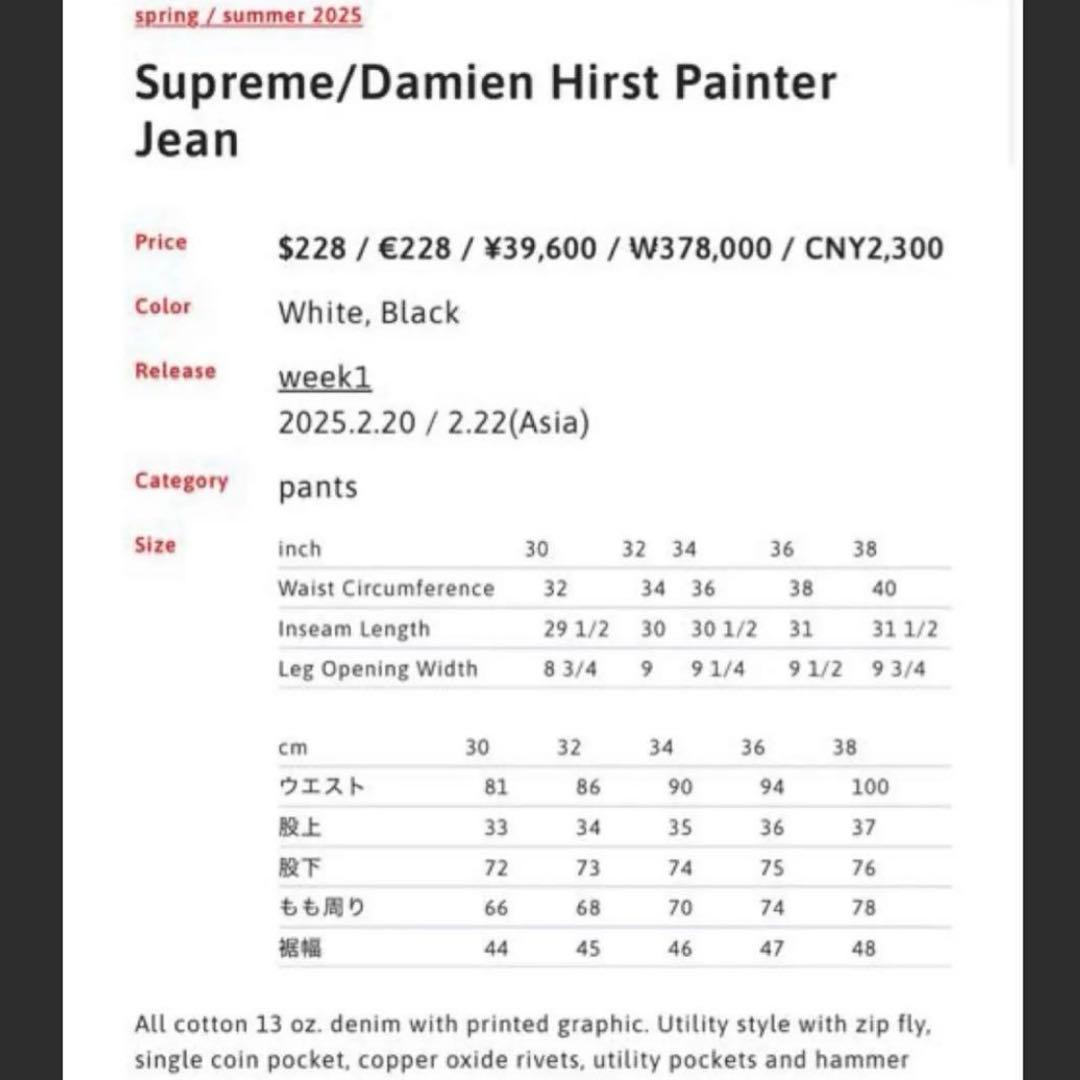 Supreme × Darmien Hirst Painter Jeans