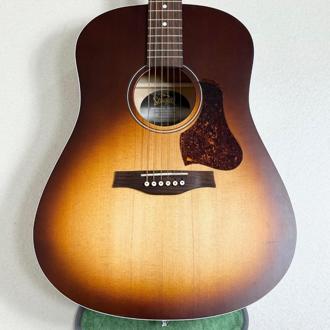 ギター Seagull Entourage Autumn Burst Acoustic