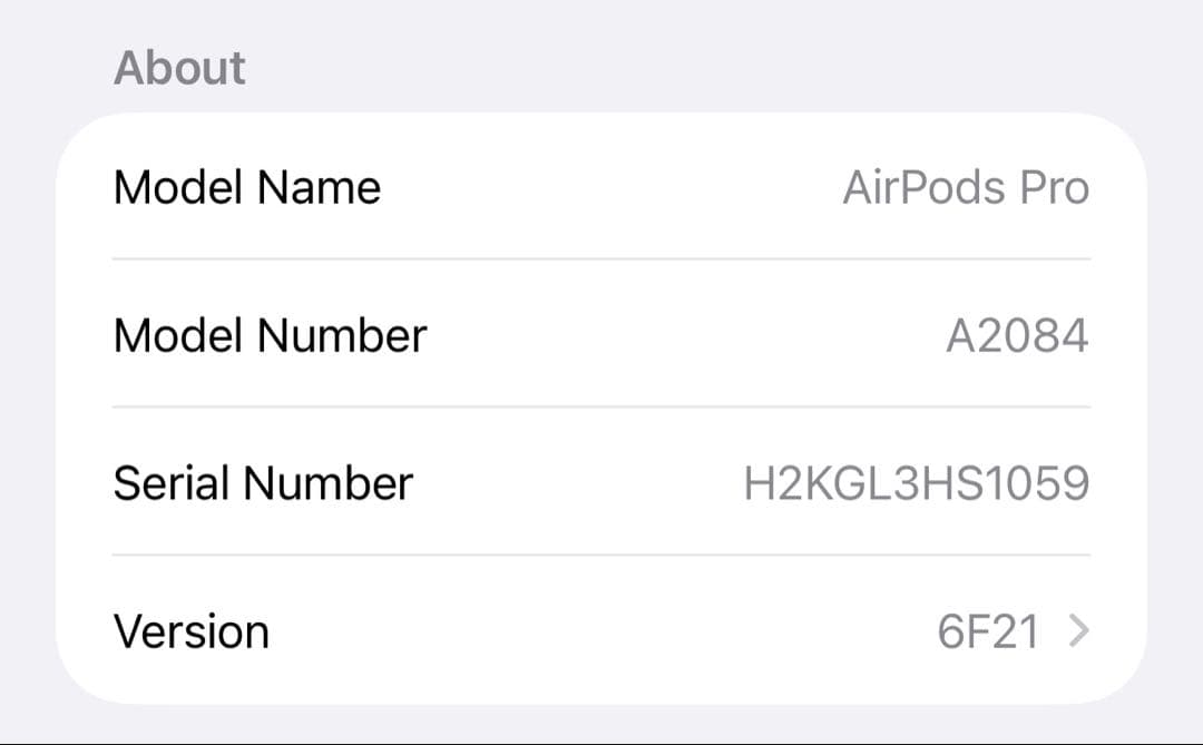 AirPods Pro 第１世代 本体