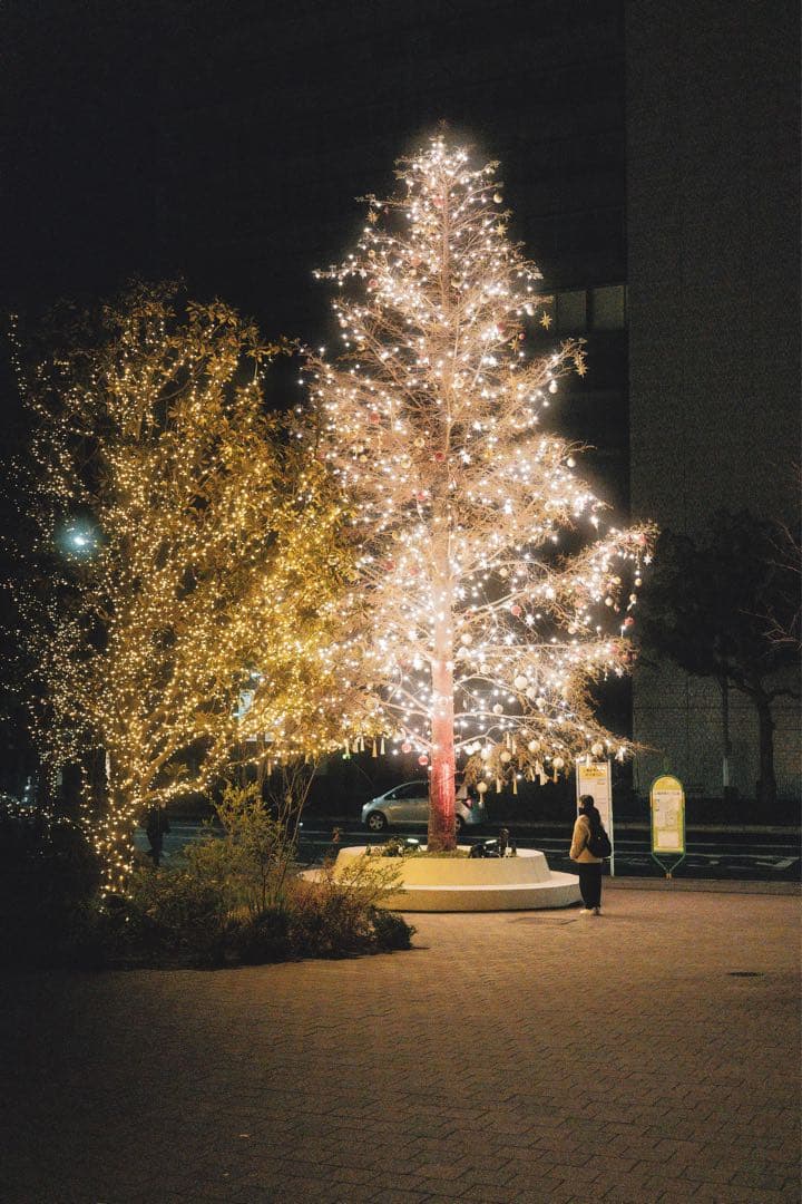 SIGMA 18-50mm F2.8 DC DN Eマウント用