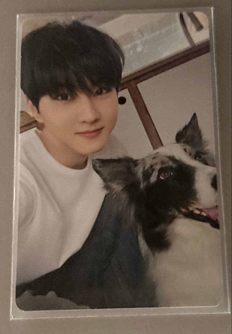 ENHYPENアンケートトレカ　全メンバー