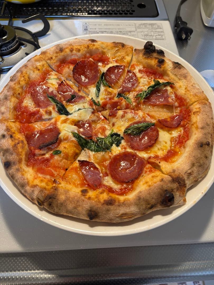 ENRO 電気式窯焼名人　ポータブル家電ピザ窯