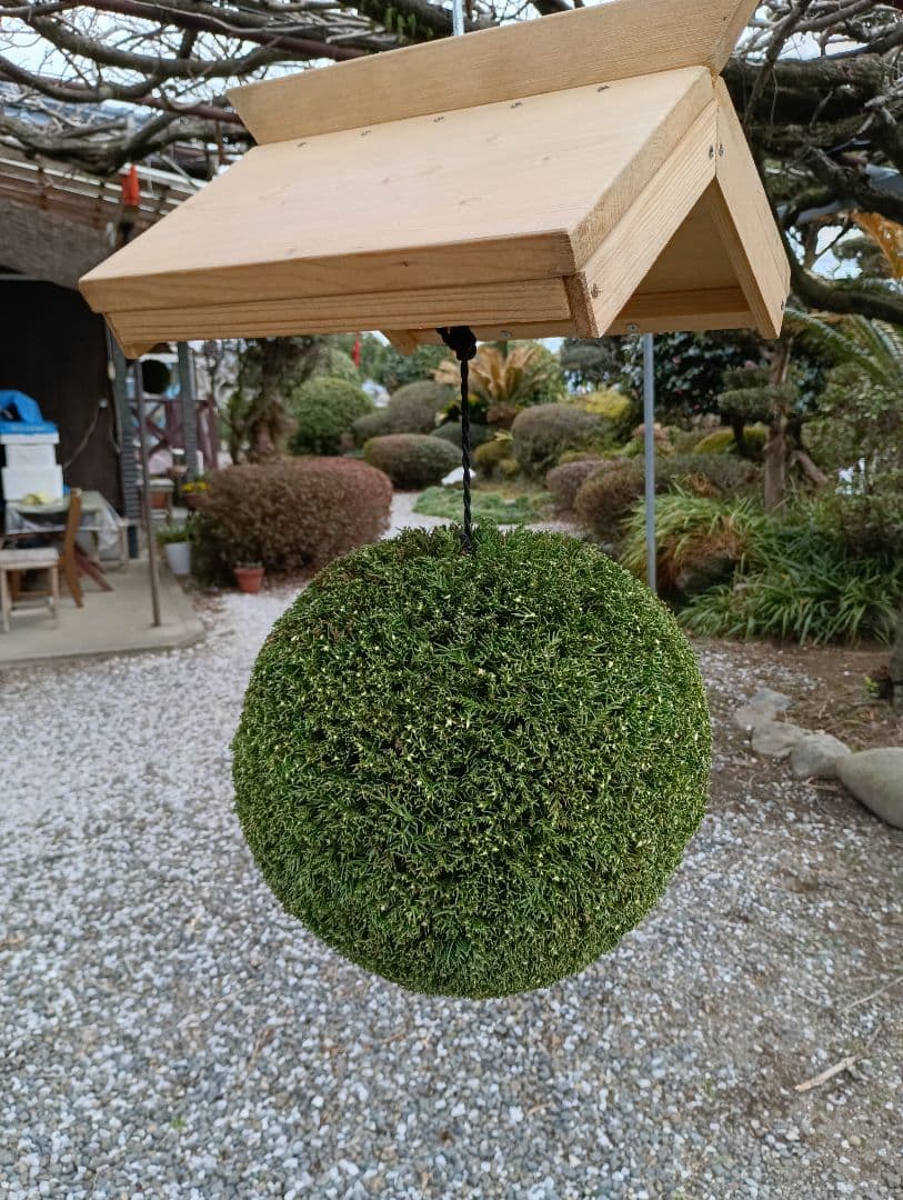 杉玉、屋根(白木作り）付き 約30cm