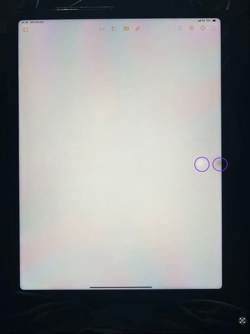 iPad Pro12.9(第6世代) Wi-Fi＋Cellular 256GB