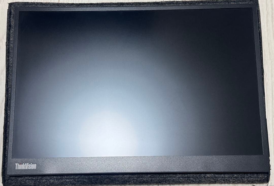 Lenovo ThinkVision M14d 保証付美品
