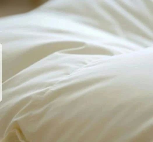 むーです。nishikawa 羽毛掛け布団 190×210cm