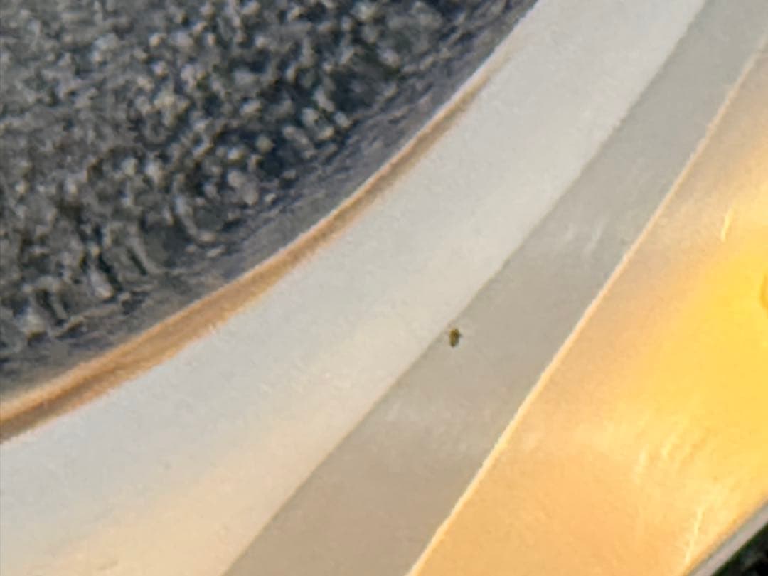 ALEESI 卓上小物SETトレイ、クリーマー、ホルダー、シュガートング4点