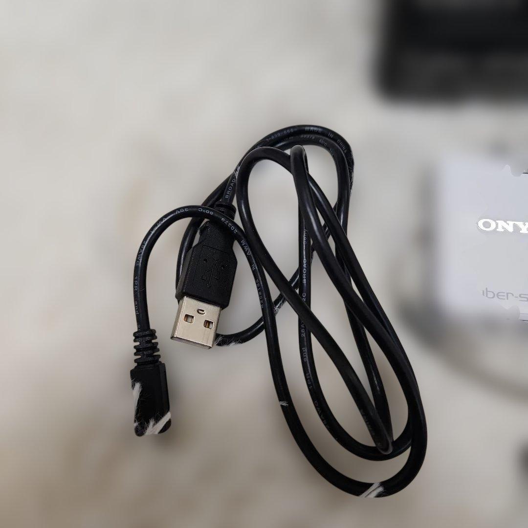 箱付 SONY DSC-WX100 デジタルカメラ サイバーショット