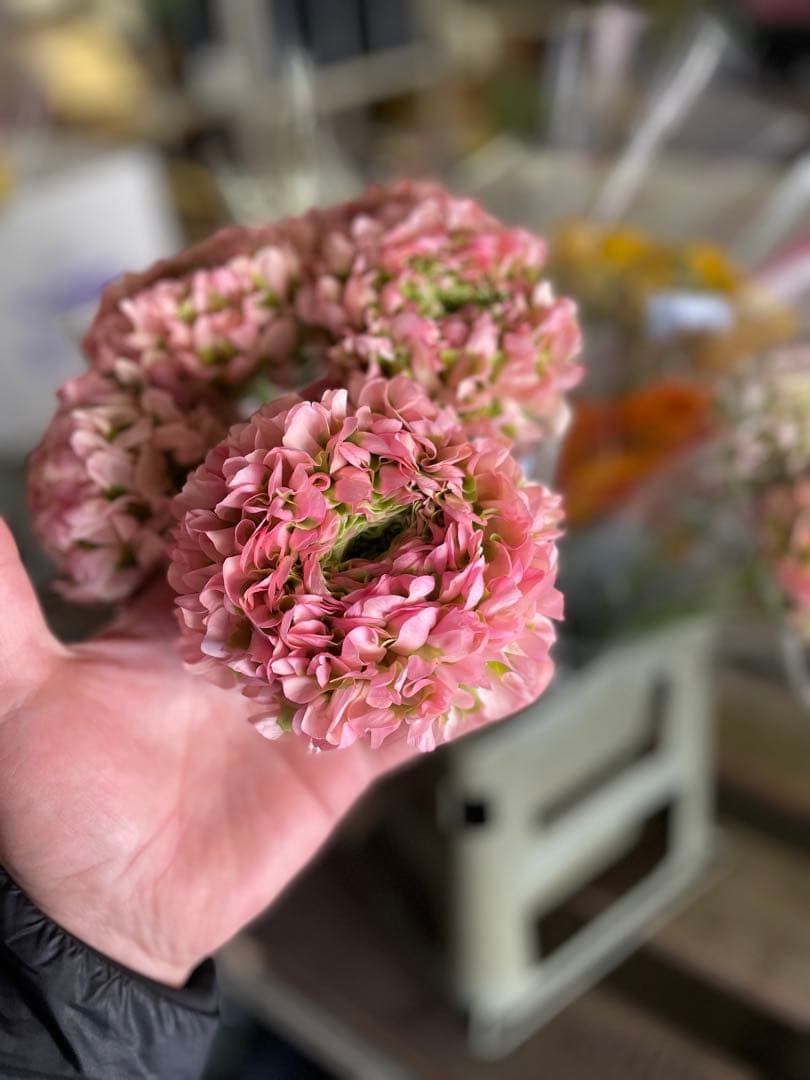 混同注文　スプレーバラクリスタルレッドandラナン