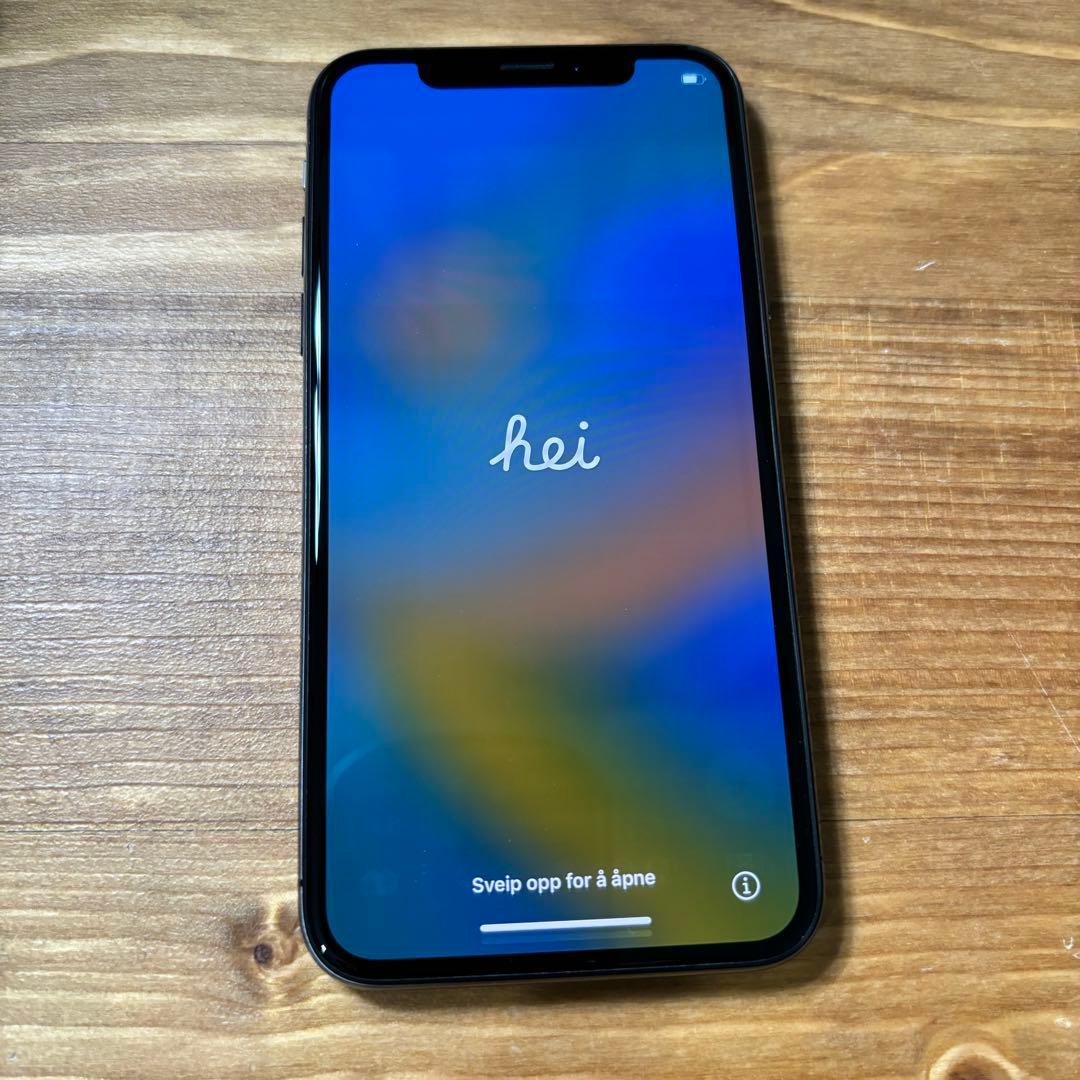 iPhone X 256GB SIMフリー【箱・純正充電器・ケース付き】