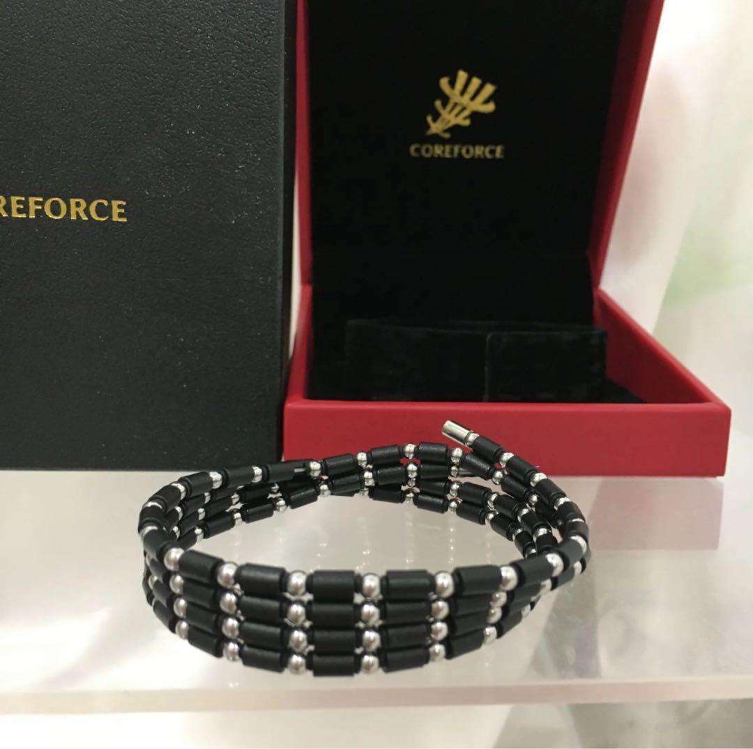 hideboy310 コアフォース ループ SUS CFL70