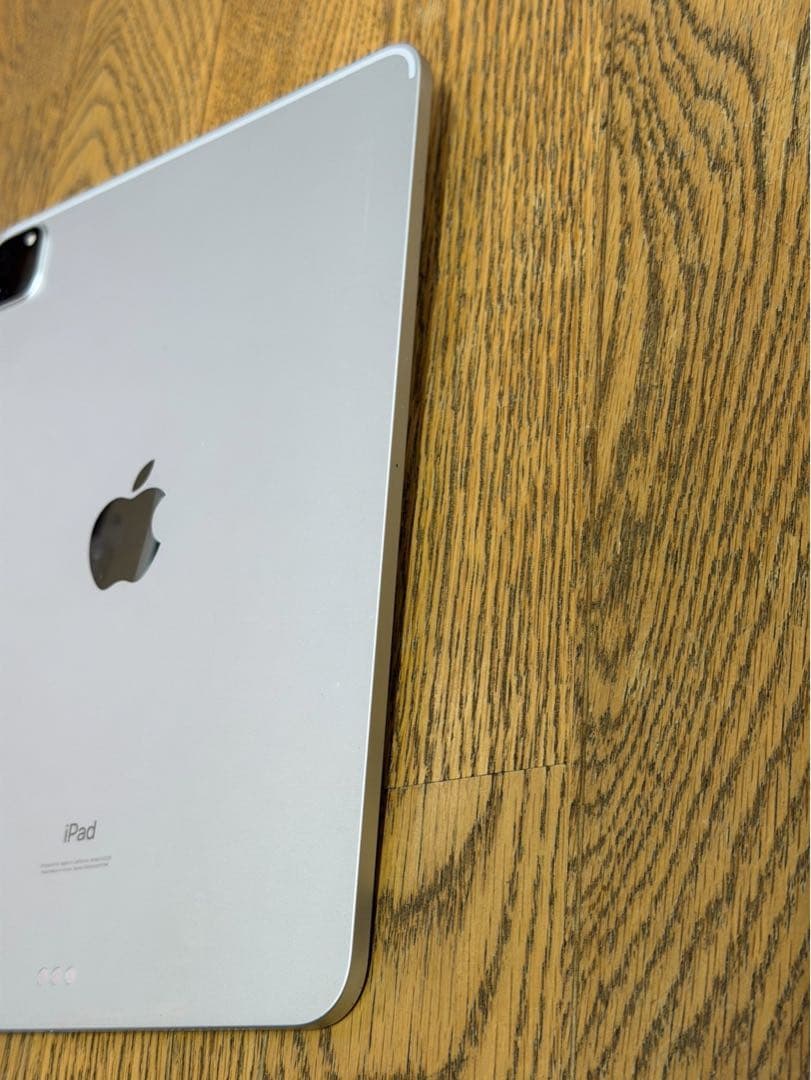 Apple iPad pro 11インチ(第二世代) 128GB シルバー 本体
