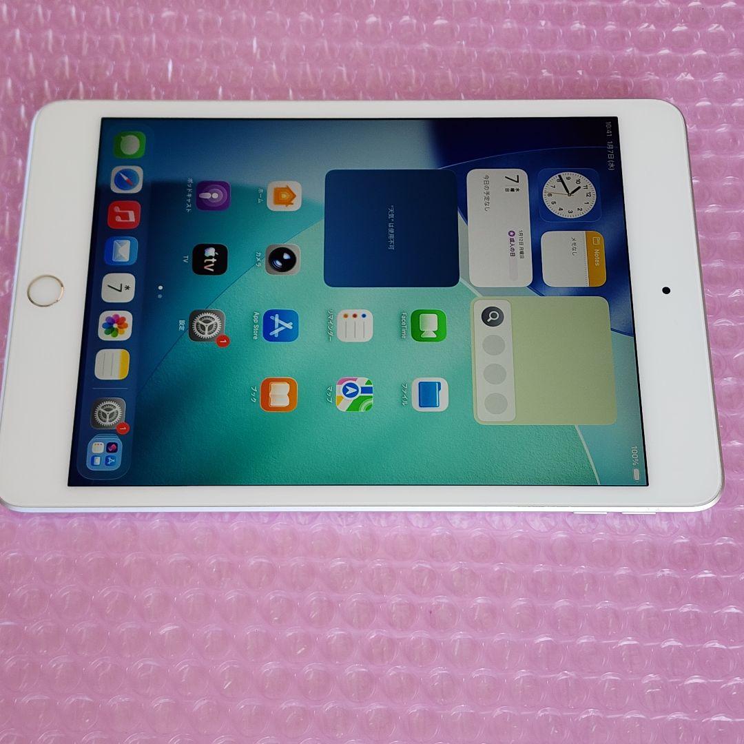 美品　iPad mini 第5世代　バッテリー良好　64GB　WiFiモデル
