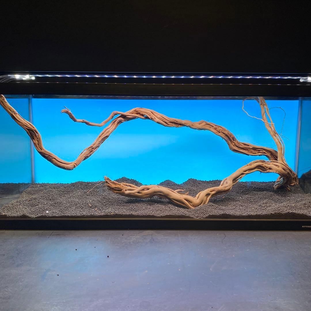 MTW-6751 蔦流木2本セット　90cm水槽用流木　アクアリウム