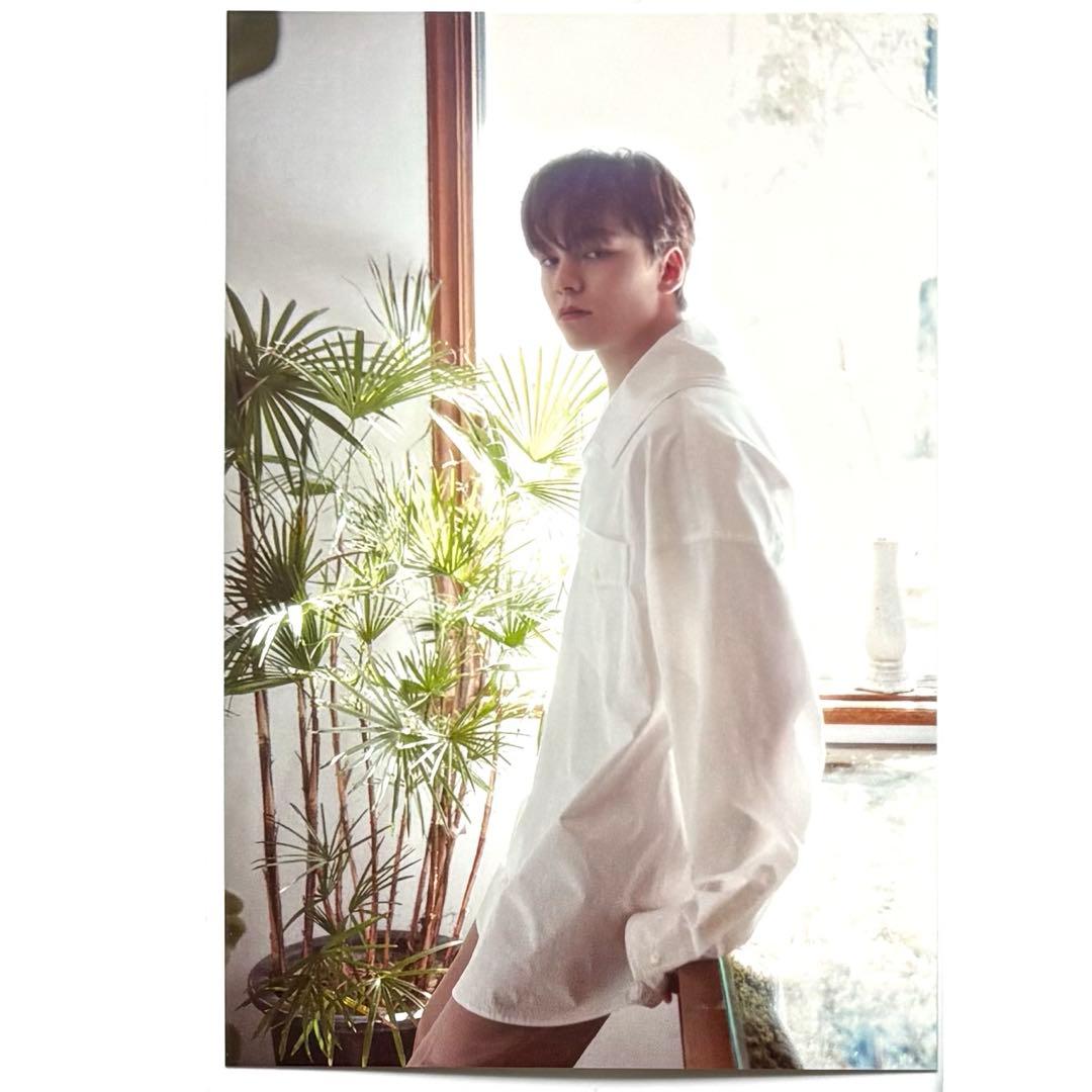 seventeen museum トレカ　ポスカ　うちわ　 バーノン　エスクプス