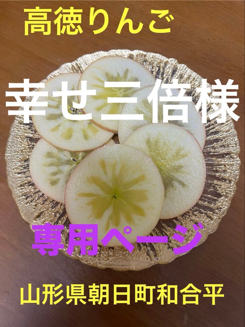 幸せ三倍　高徳りんご10K
