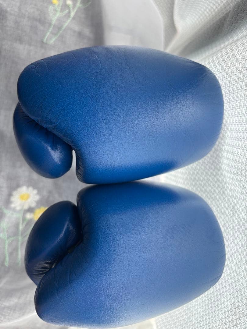 winning ウィニングボクシンググローブ ブルー 8オンス MS-200B